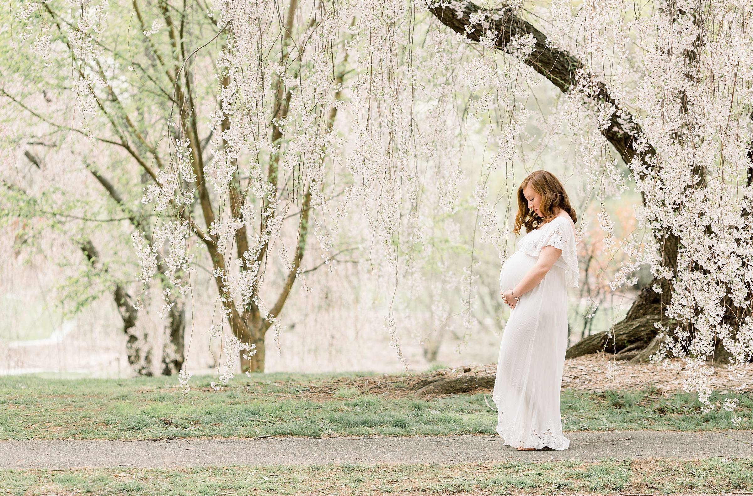 Pregnant woman in white dress in a grove of cherry trees